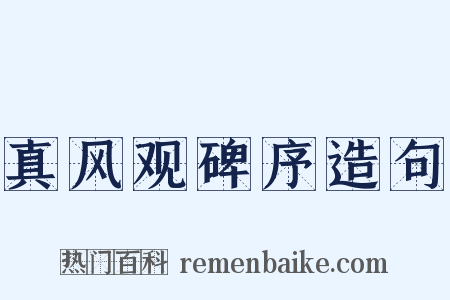 真风观碑序造句是什么意思的图片